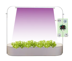 Smart Hydroponics Kit