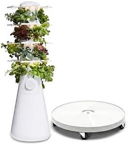 Lettuce Grow (Nook)